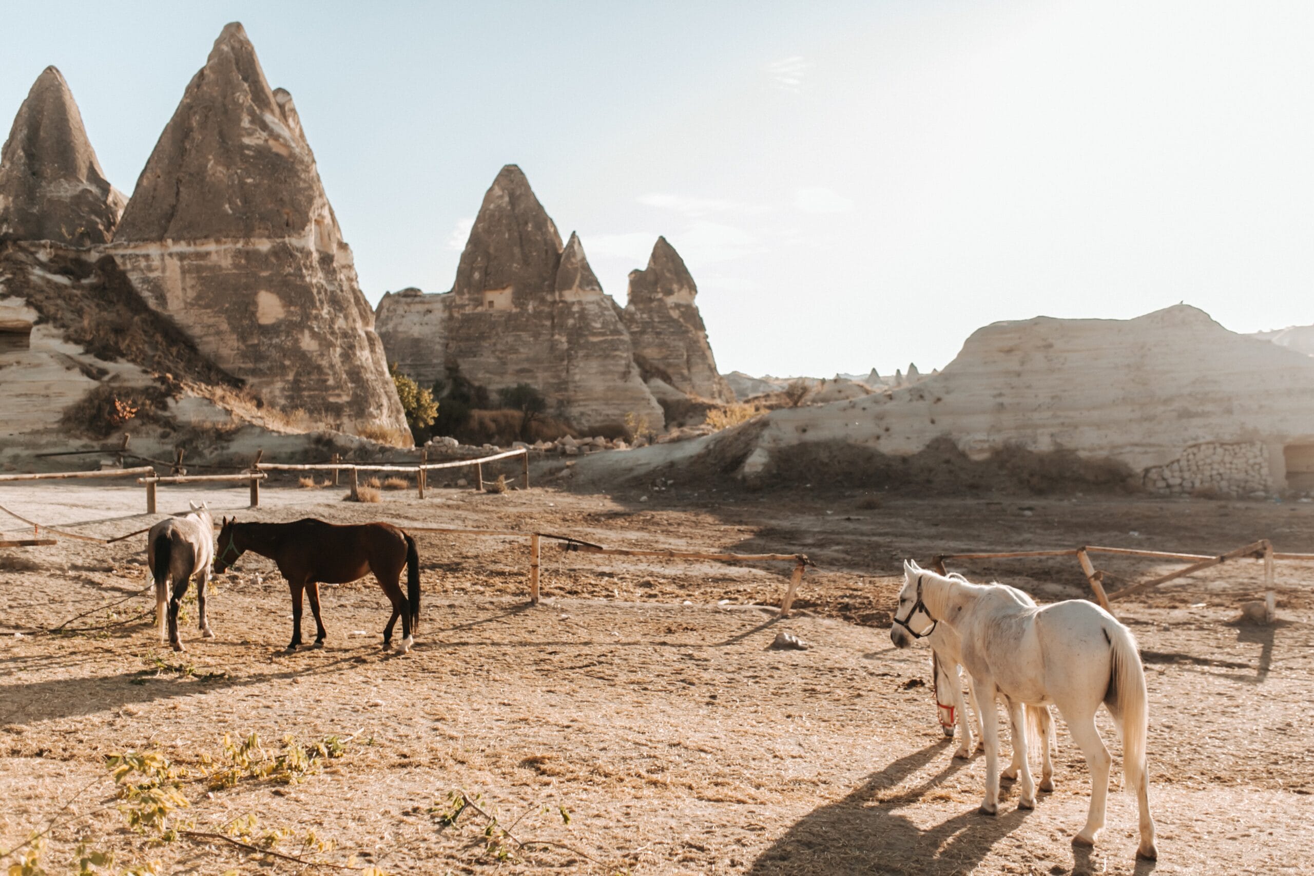 Cappadocia Horseback Riding Turkey Travel DMC